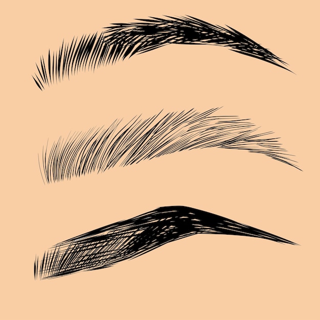 Eyebrow design logo. vector brow. minimalism