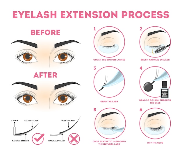 Vector eyelash extension guide for woman. infographic with eyelashes