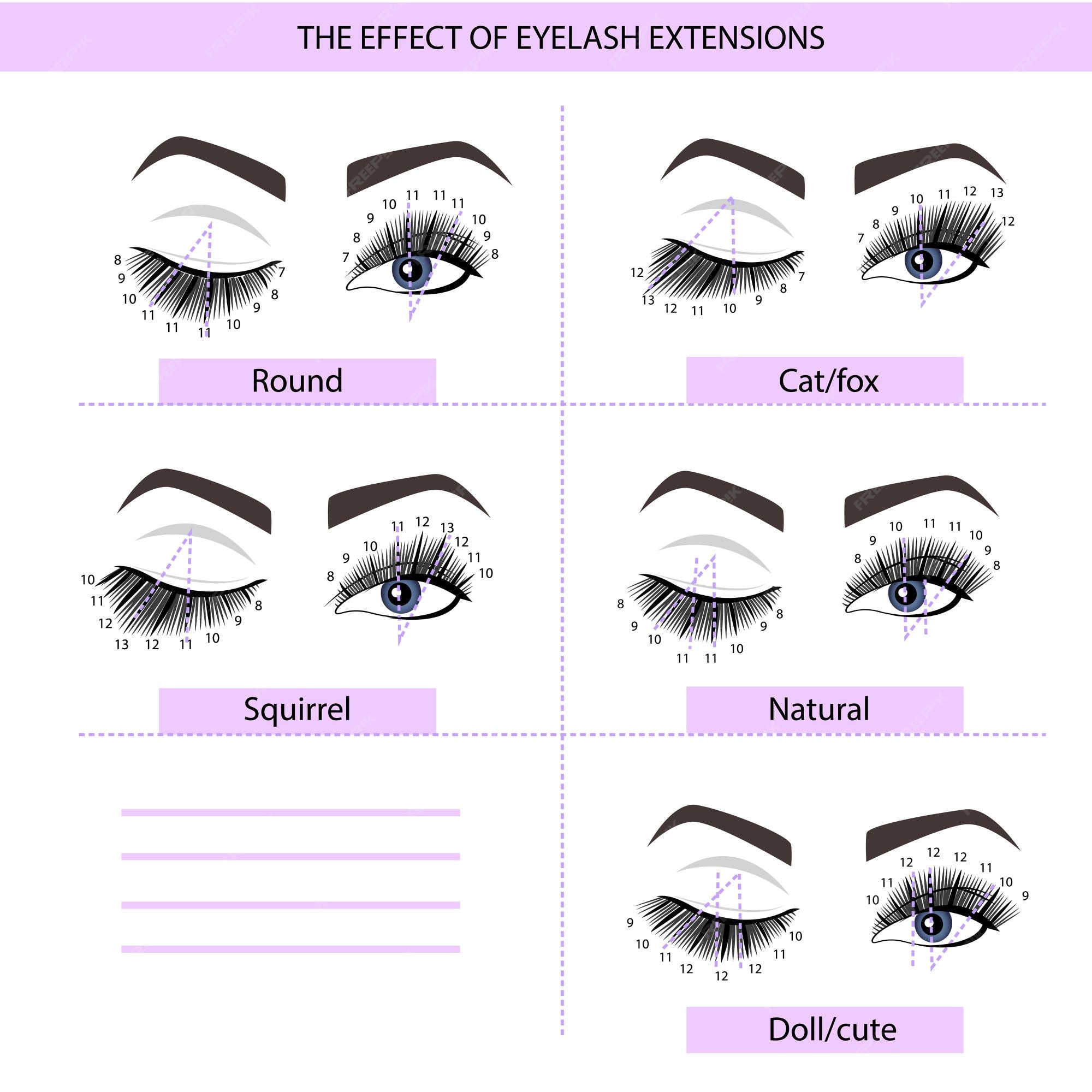 Premium Vector Eyelash Extension Guide