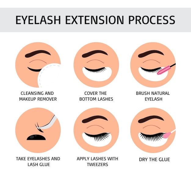 Vector eyelash extension process flat vector illustration infographic for lashmaker