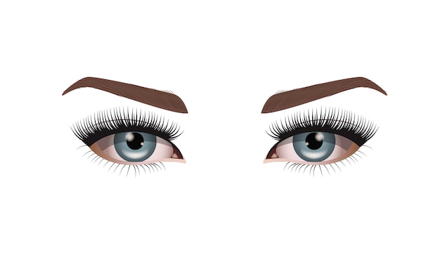 Eyelash extension types realistic eyes and eyelashes high detail vector illustration