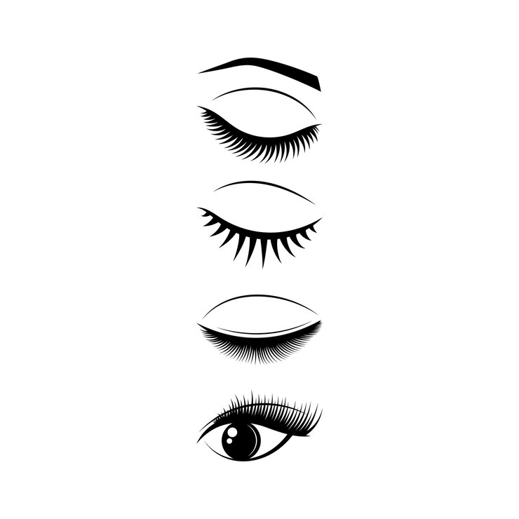 Vector eyelash icon set design template