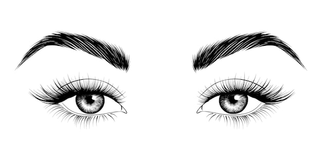 Eyes with eyebrows and long eyelashes