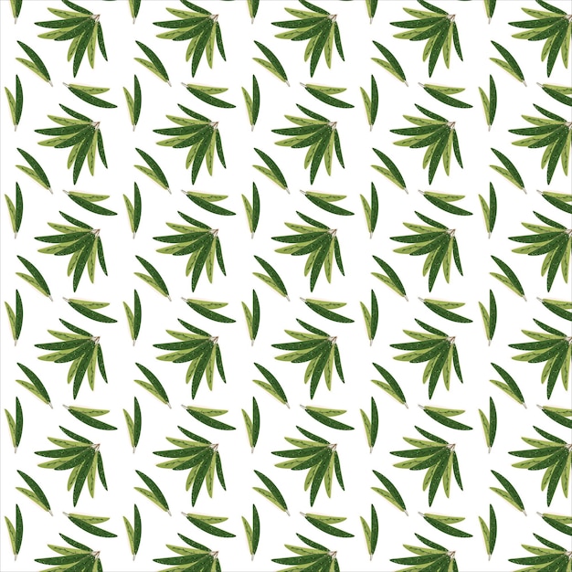 fabric fabrics palms palm tree trees green dark green background template templates