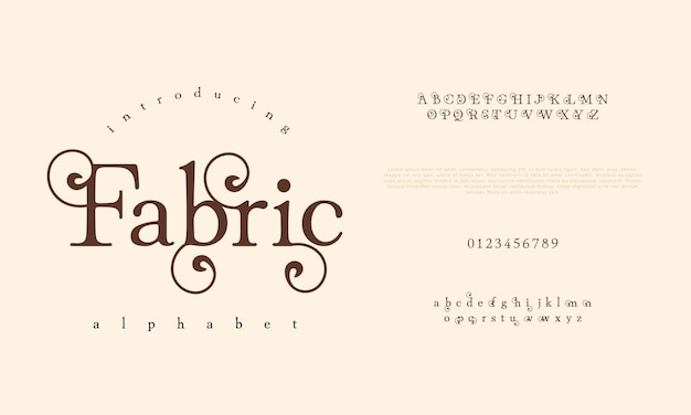 Fabric premium luxury elegant alphabet letters and numbers Elegant wedding typography classic serif