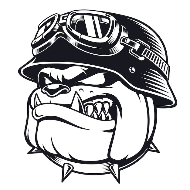  face of bulldog biker with helmet. Motorcycle rider illustration. Shirt graphics. on white background.