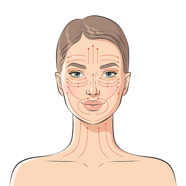 Face massage lines Facial massage instructions vector illustration