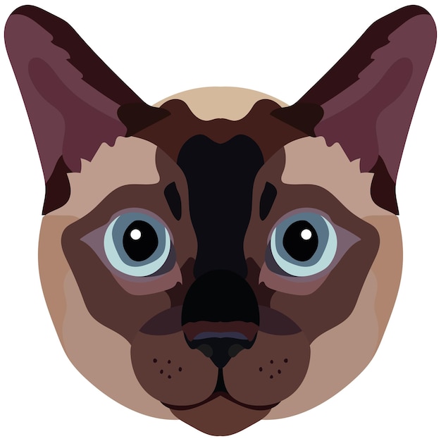 The face of a Siamese cat Vector portrait of a cat's head on a white background The muzzle of an animal of the feline genus