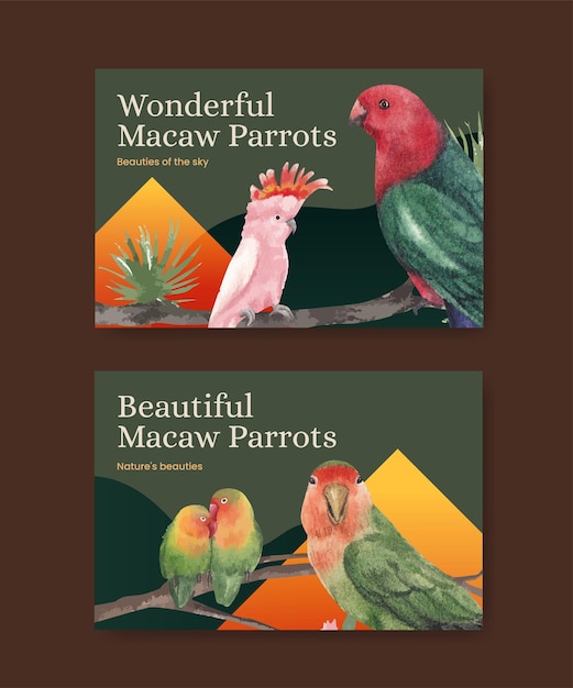 Вектор Шаблон facebook с концепцией птицы попугай ара, акварель в стиле