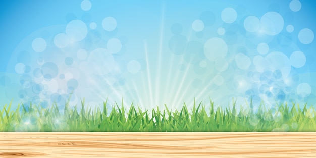 Fairy grass background