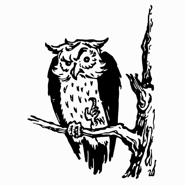 Vector fairy owl