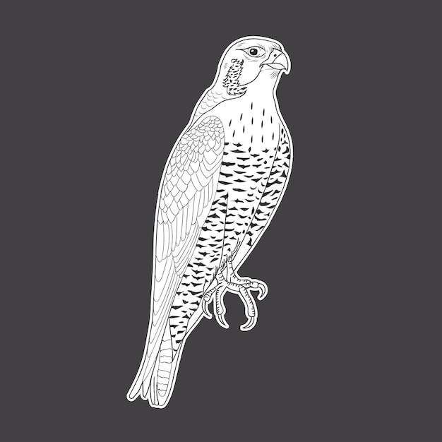 Vector falcon animal line art for poster, flyer, instagram post, etc