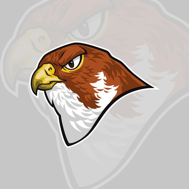 Vector falcon head mascot logo vector