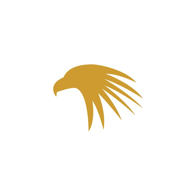 Falcon logo template vector