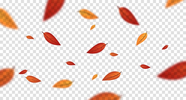 Осенние размытые летающие листья осенние элементы векторного дизайна природы для оформления фотографий векторная иллюстрация
