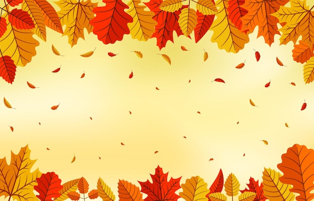 Fall Floral Background