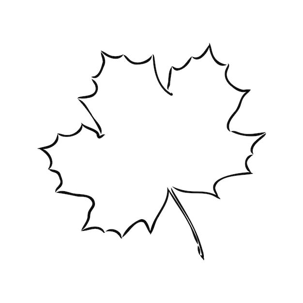 Fall leaf clipart black and white leaf drawing vector clipart