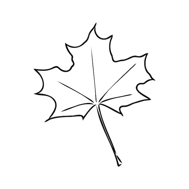 Осенний лист клипарт черно-белый рисунок листа векторный клипарт