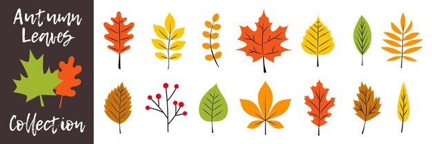 Fall leaves collection Autumn leaves silhouette set Colorful Autumn falling leaves