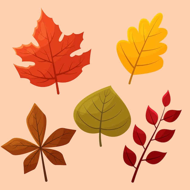 Fall leaves elements flat illustration