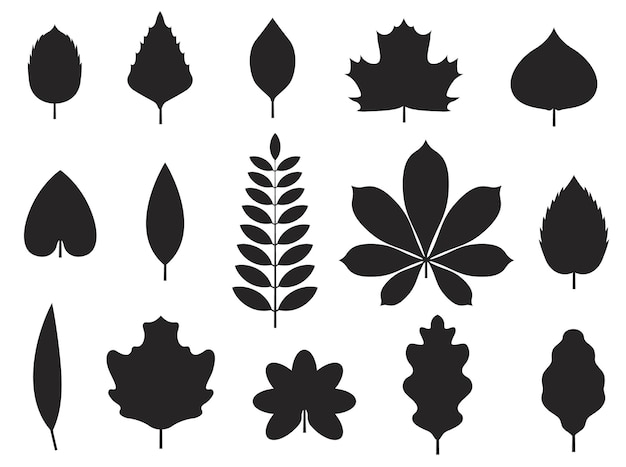 Vector fall leaves isolated vectors silhouettes