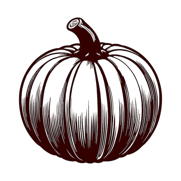 Vector fall pumpkin silhouette