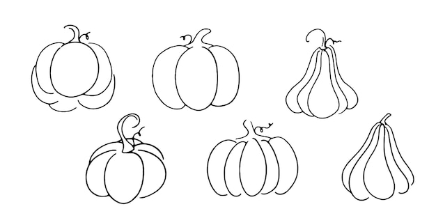 Vector fall pumpkins hand drawn black line simple sketch vector silhouette