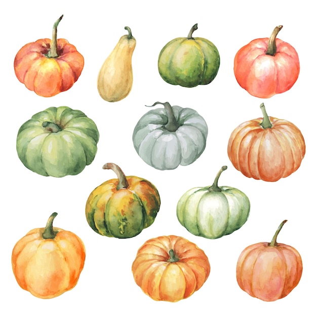 Fall set of watercolor hand drawn pumpkins.