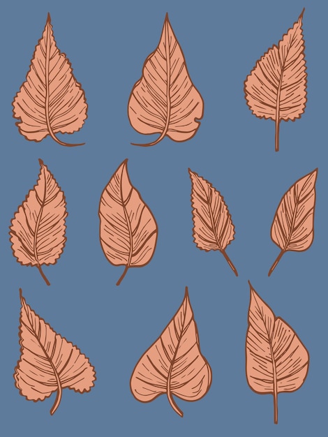 Fallen autumn leaves vector set