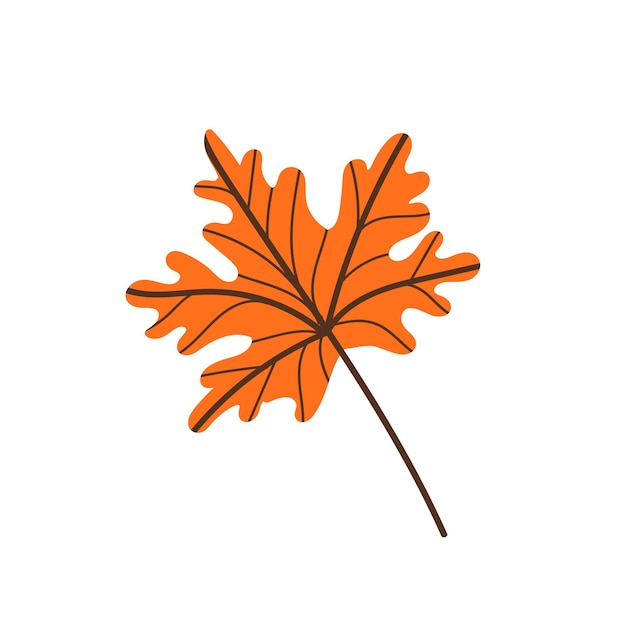 A fallen maple leafautumn foliage vector illustration