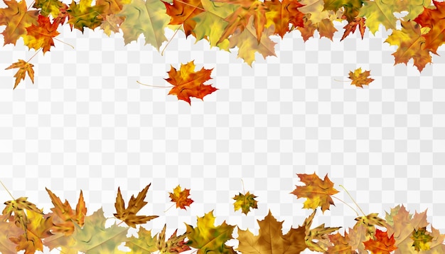 떨어지는 가을 잎 투명 배경 벡터 일러스트 레이 션에 가을 비행 단풍