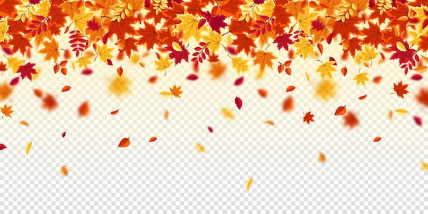 Vector falling autumn leaves nature background with red orange yellow foliage flying leaf season sale