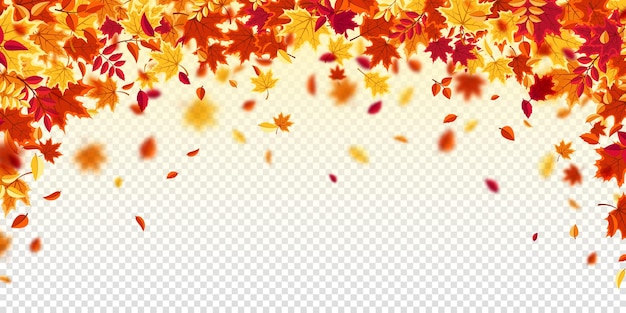 Vector falling autumn leaves nature background with red orange yellow foliage flying leaf season sale