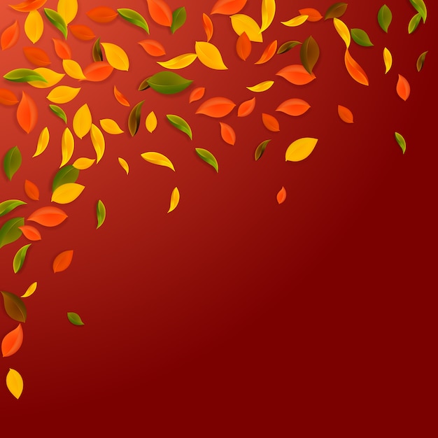 Falling autumn leaves. red, yellow, green, brown chaotic leaves flying.