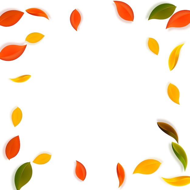 Падающие осенние листья. красные, желтые, зеленые, коричневые аккуратные листочки летят. виньетка красочная листва на прекрасном белом фоне. блестящая распродажа обратно в школу.