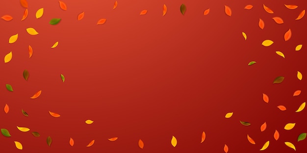 落ち葉。赤、黄、緑、茶色のランダムな葉が飛んでいます。崇高な赤い背景の上のビネットカラフルな葉。学校に戻って美しいセール。