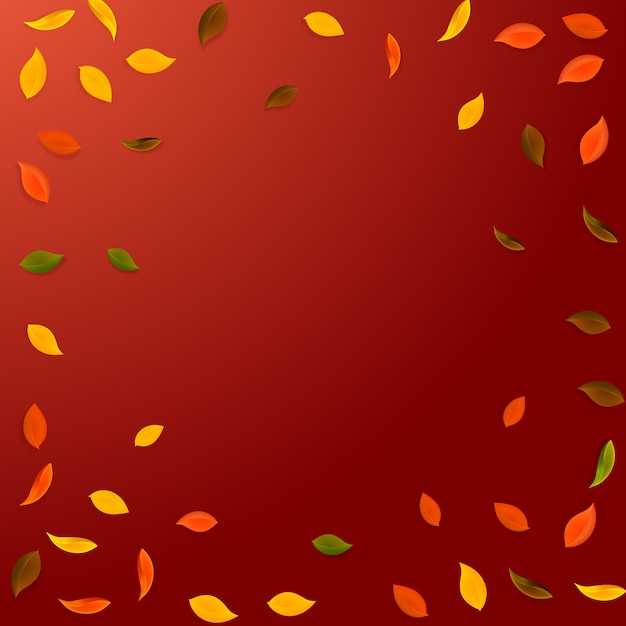 Premium Vector | Falling autumn leaves. red, yellow, green, brown ...