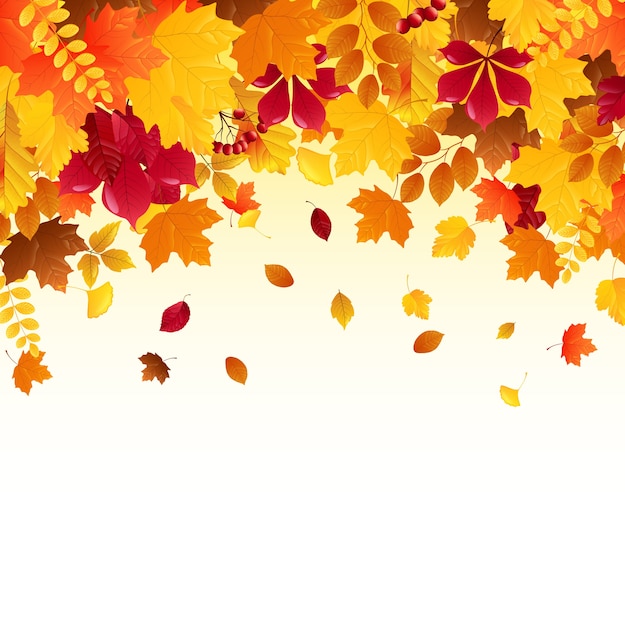 Vector falling autumn leaves