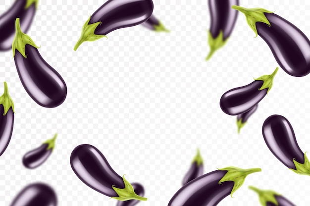 Vector falling eggplant isolated on transparent background flying whole and sliced eggplants vegetable with blurry effect can be used for advertising packaging banner poster print realistic 3d vector