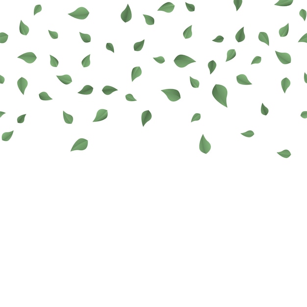 Vettore foglie verdi che cadono su sfondo bianco. vettore