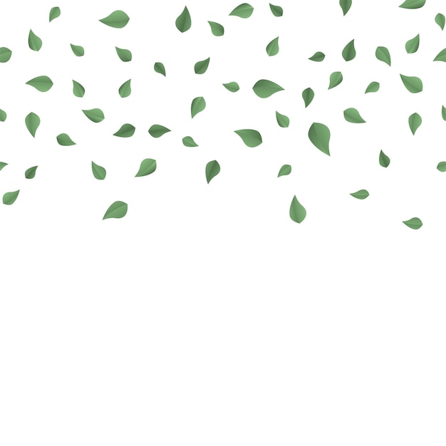 Falling green summer leaves on white background. vector