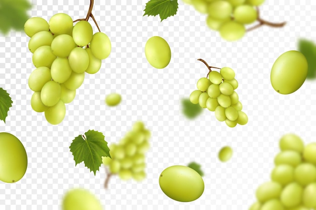 Falling juicy ripe grape with green leaves isolated on transparent background flying bunches of grapes with blurry effect can be used for wallpaper banner poster print realistic 3d vector design