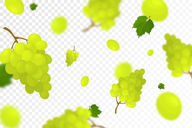 Falling juicy ripe grape with green leaves isolated on transparent background Flying bunches of grapes with defocused blur effect Can be used for wallpaper banner poster print Vector flat design