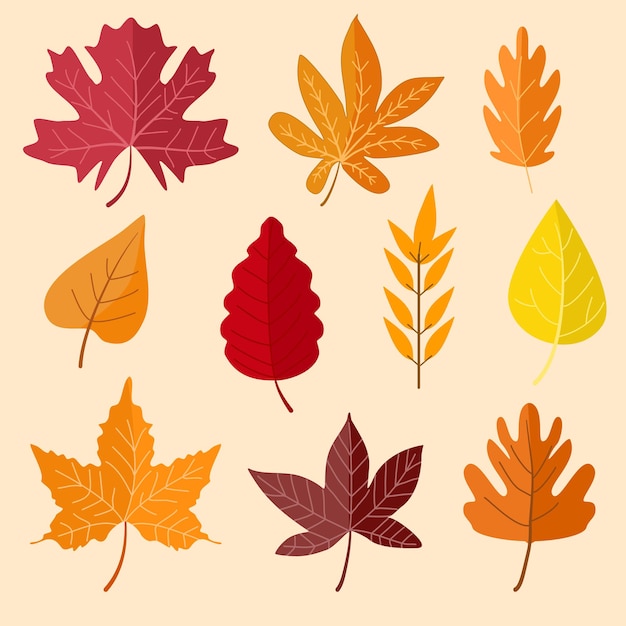 Falling Leaves Icon Collection Set