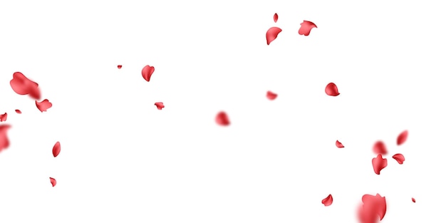 Vector falling rose petals background vector design 3d illustration