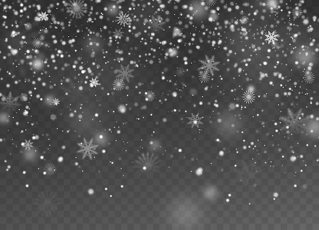 Falling snow. Christmas fall shining little snow, magic white snowfall snowflakes texture, snowstorm winter holiday  decoration night snowy background