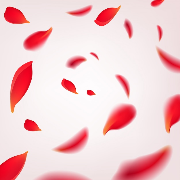 Vector falling swirl of red rose petals isolated on white background.  with beauty roses petals