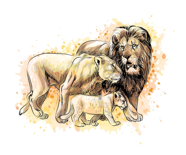 Familie van leeuwen uit een scheutje aquarel, hand getrokken schets. illustratie van verven