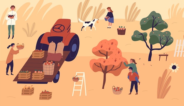 Famiglia di agricoltori che raccolgono frutti di stagione in giardino illustrazione piatta vettoriale. uomo, donna e bambino che trasportano cesti, mettono casse al trattore, giocano con il cane. famiglia agricola che lavora insieme.