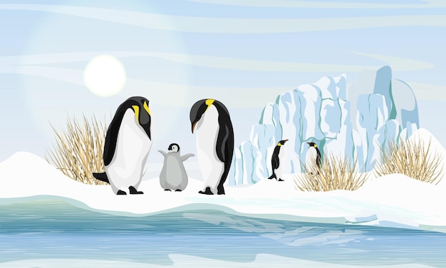 Vector a family of realistic emperor penguins with a chick by the sea or ocean